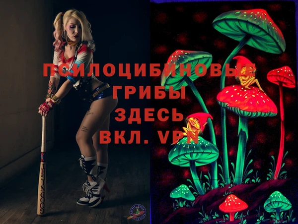 спиды Аркадак