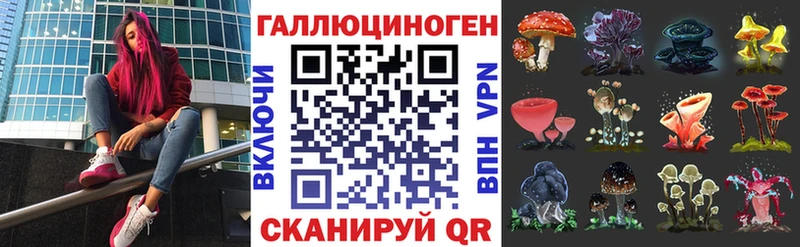 Купить где  Кушва  Псилоцибиновые грибы Cubensis 